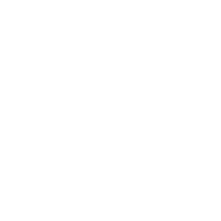 TAISEI